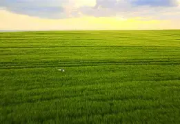 开元棋牌app下载-jackeylove喻文波