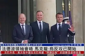 波兰法国迅速溃败的原因