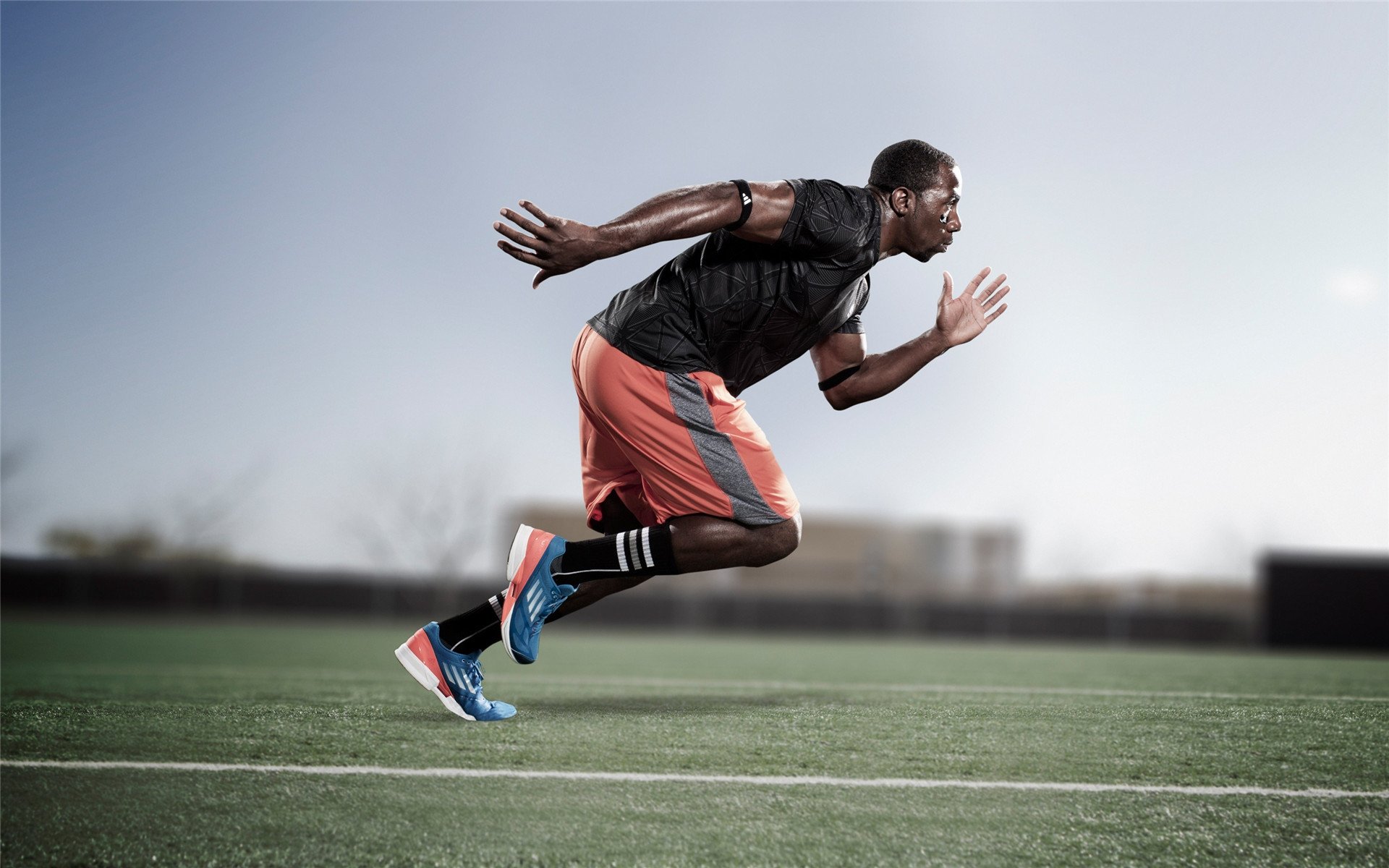 意大利足球再无缘世界杯