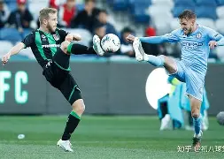 澳超悉尼fc对墨尔本胜利