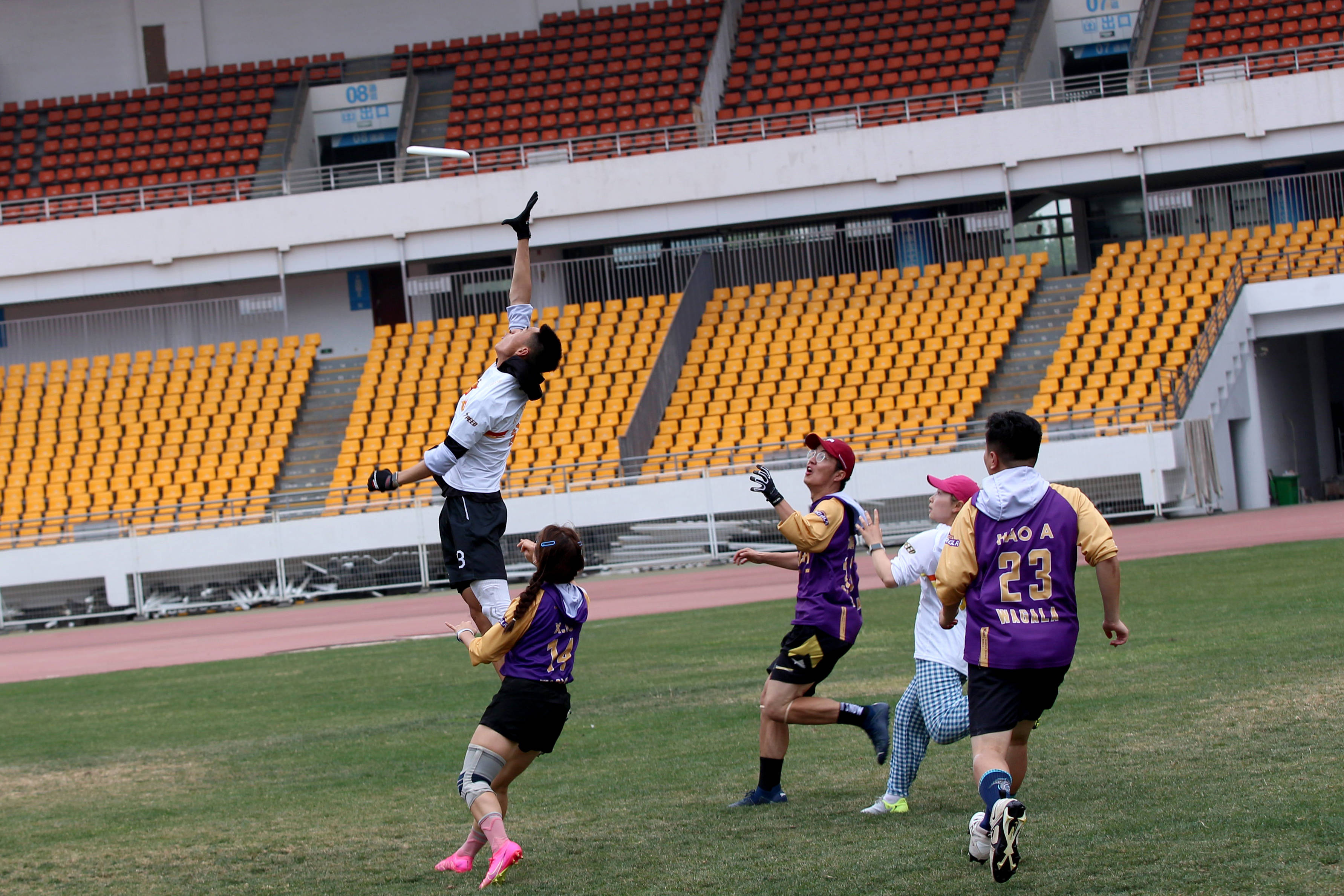 体育赛事精彩迷人,观众心情高涨