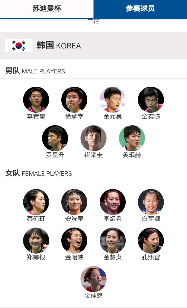 某球队参加比赛,开局11场保持不败