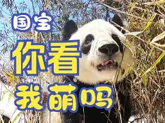 法甲知乎