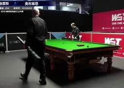 斯普林格数据库